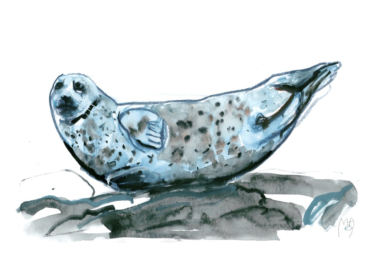 Rocky (fóka), 2019 alkotó: Mark Adlington