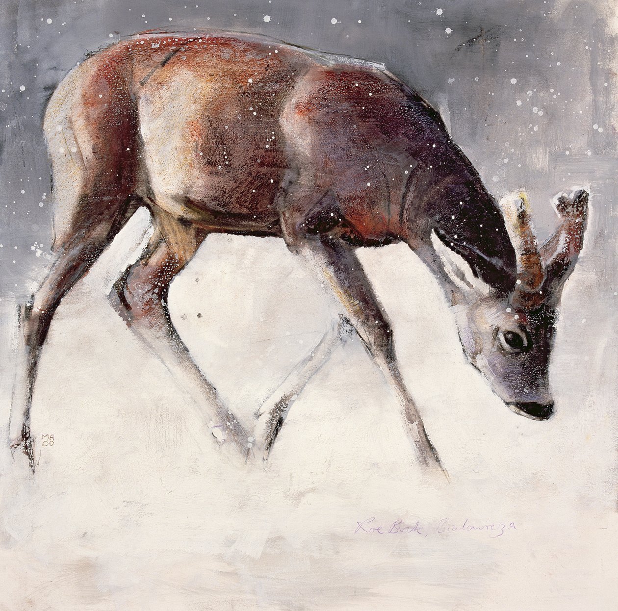 Roe Buck, tél, 2000 (vegyes média papíron) alkotó: Mark Adlington