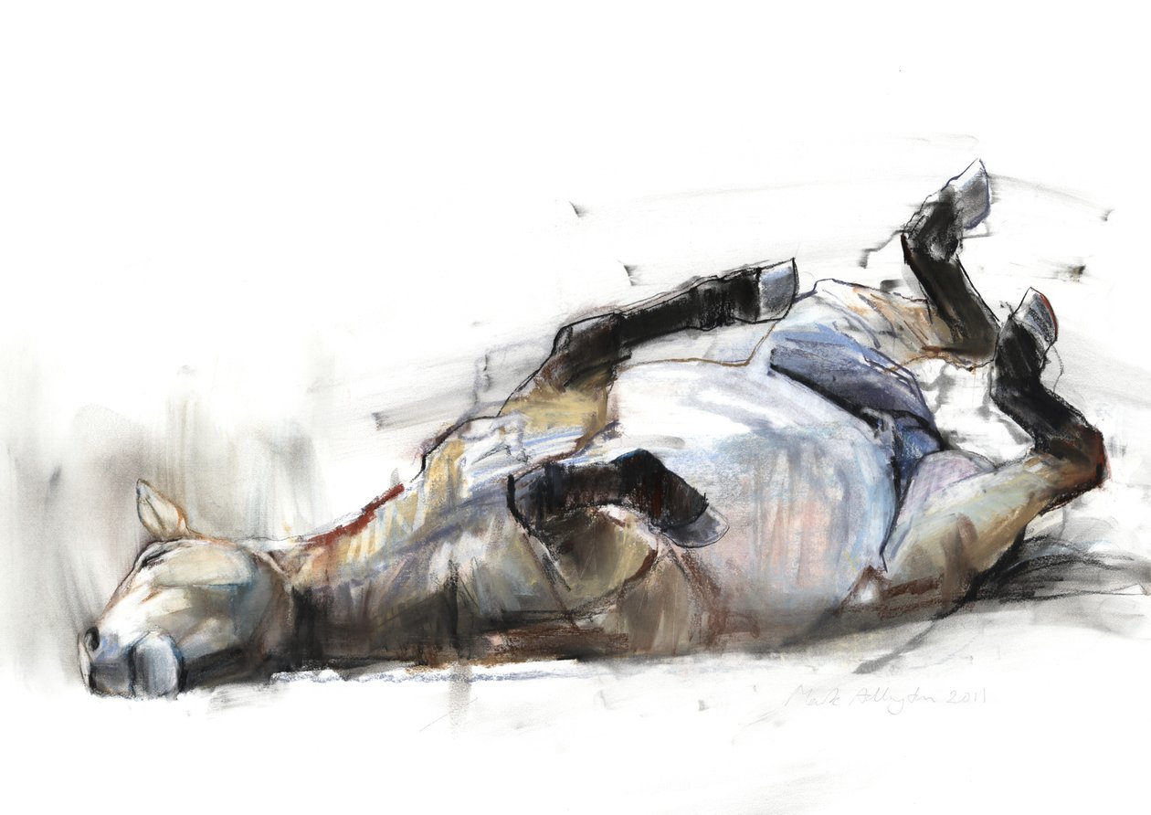 Rolling Rolling Rolling, 2011, (szén, konté és pasztell papíron) alkotó: Mark Adlington