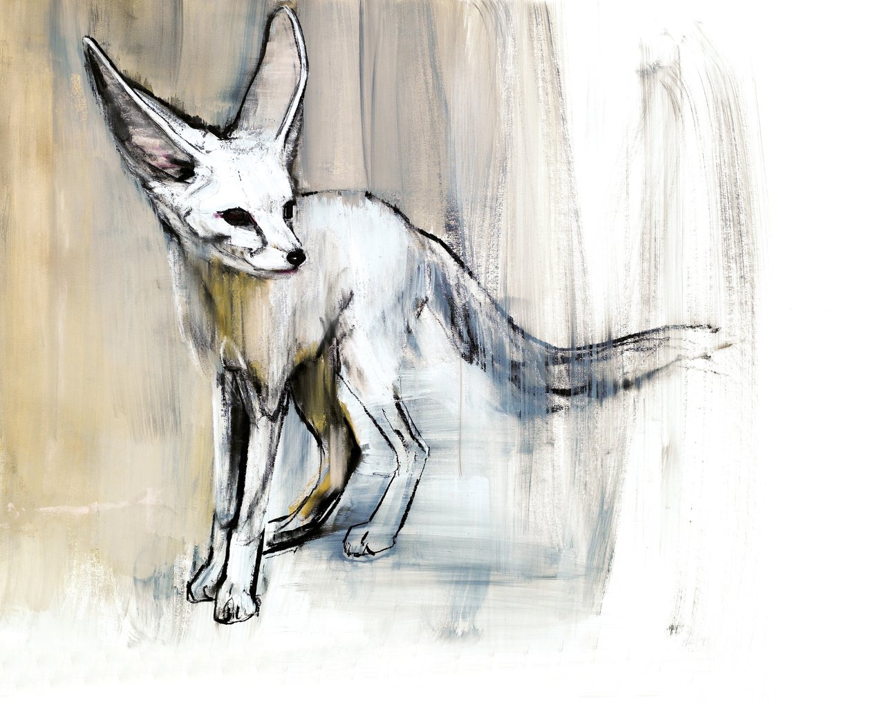 Sand Fox, 2009 (conte und charcoal papíron) alkotó: Mark Adlington