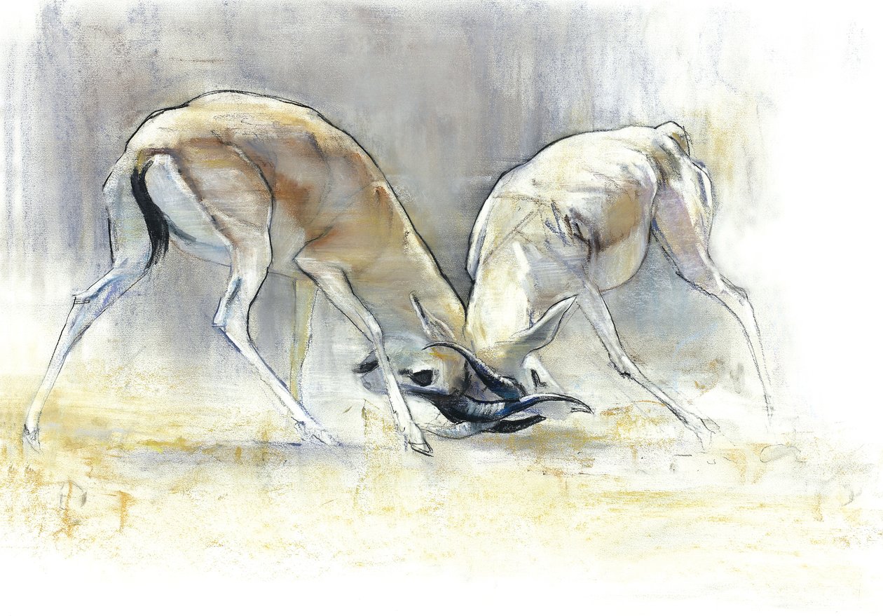 Homokgazellák, 2009 (conte és faszén papíron) alkotó: Mark Adlington