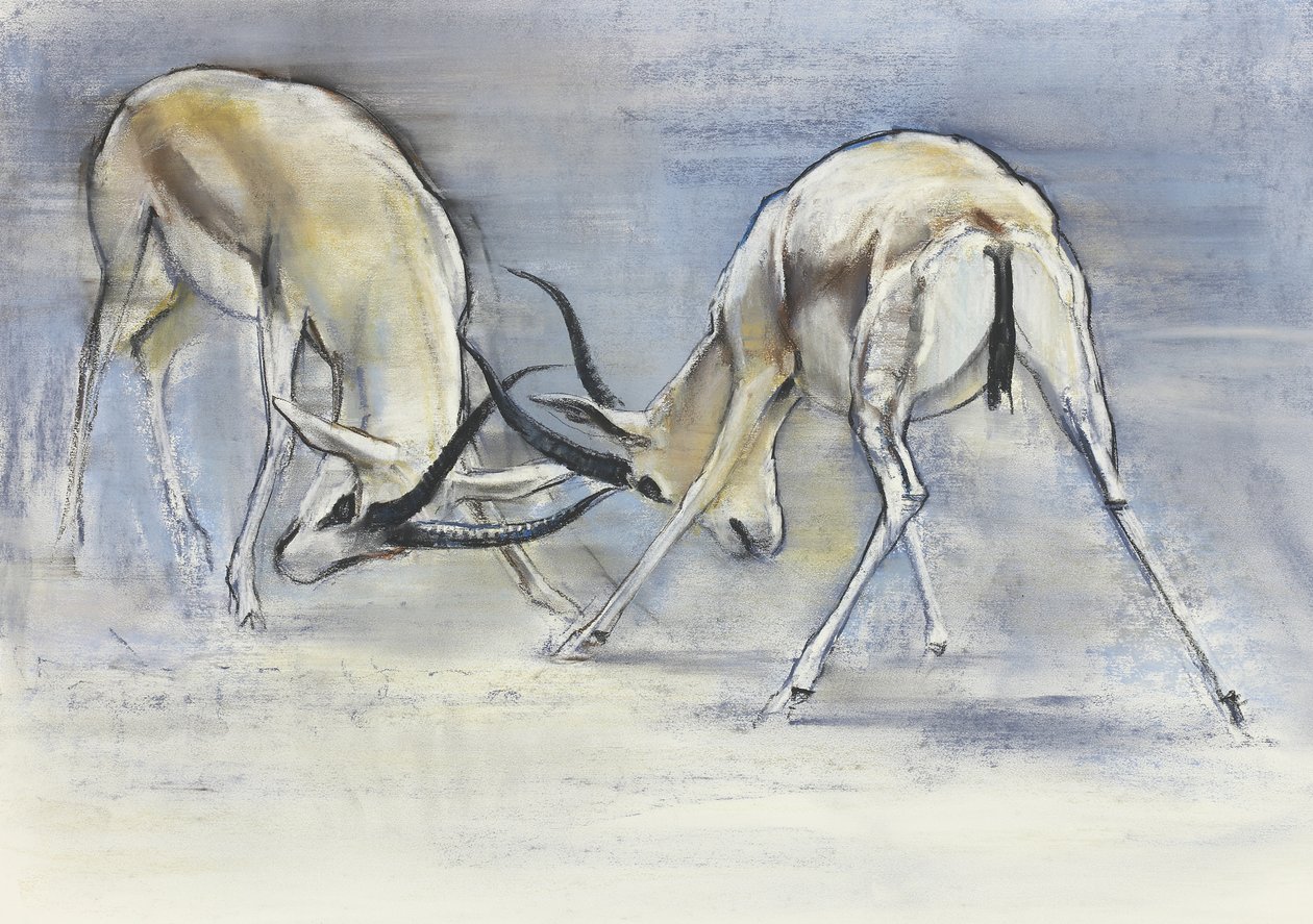 Homokgazellák, 2009 (conte és faszén papíron) alkotó: Mark Adlington