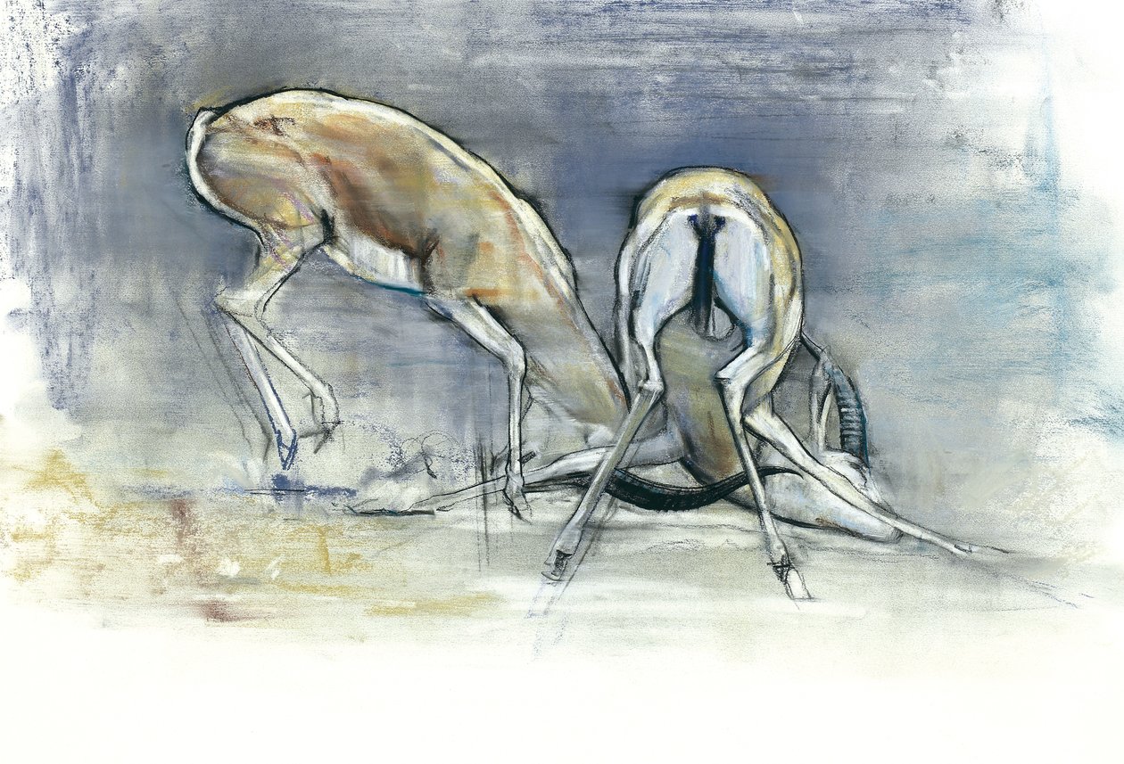 Homokgazellák, 2009 (conte és faszén papíron) alkotó: Mark Adlington