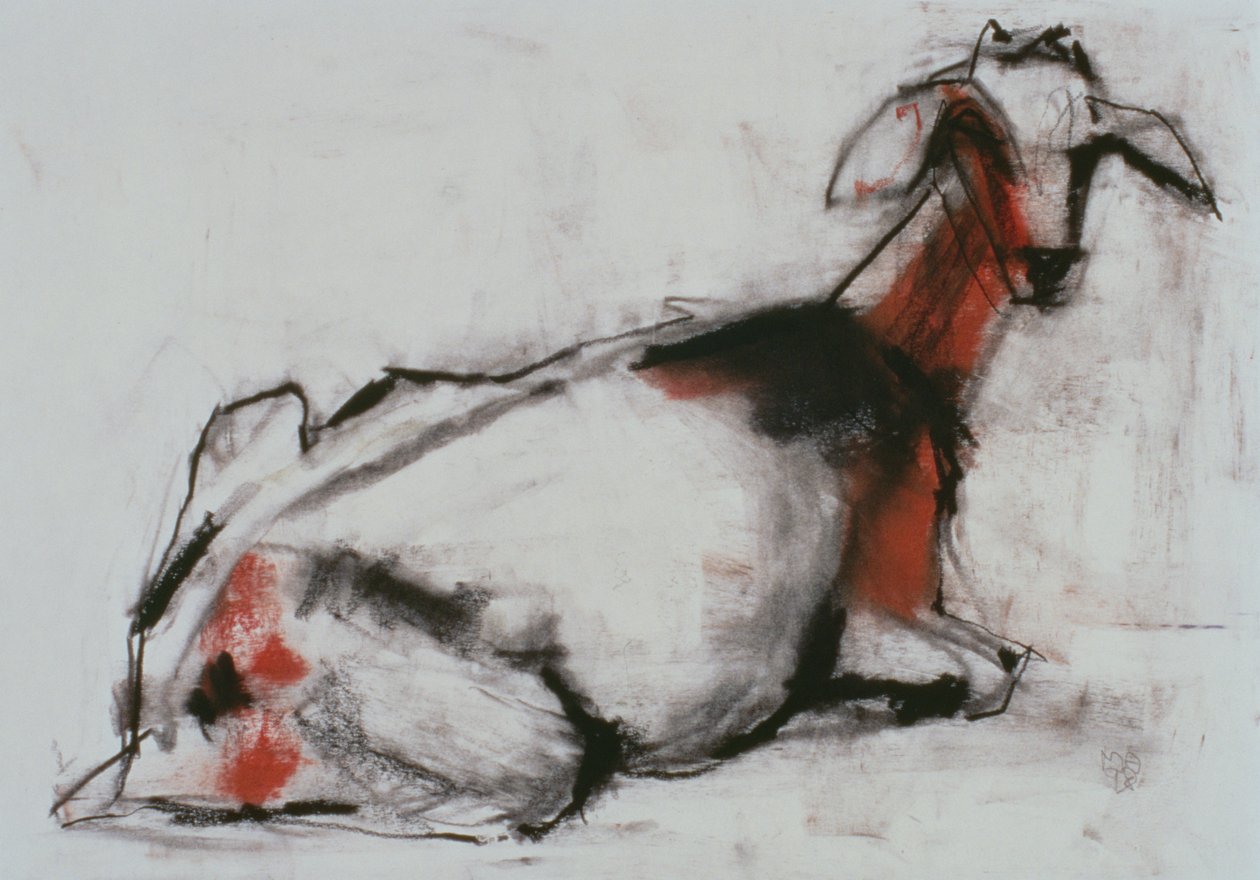 Ülő kecske, 1998 (conte és faszén papíron) alkotó: Mark Adlington