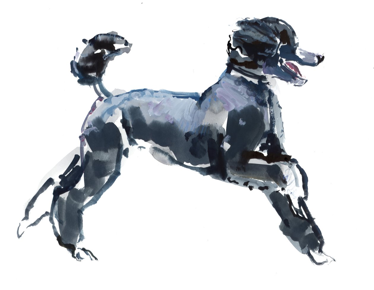 Sheer Class, 2013, (akvarell és gouache papíron) alkotó: Mark Adlington
