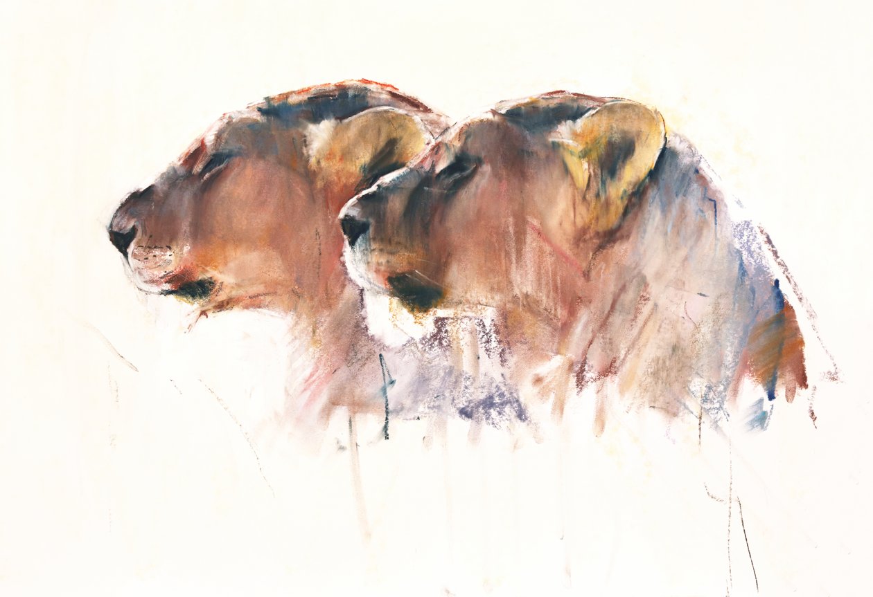 Nővérek, Etosha, 2017 alkotó: Mark Adlington
