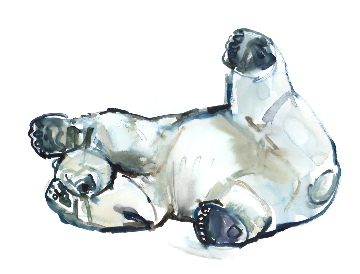 Snow Rub (jegesmedve), 2013 (akvarell és gouache papíron) alkotó: Mark Adlington