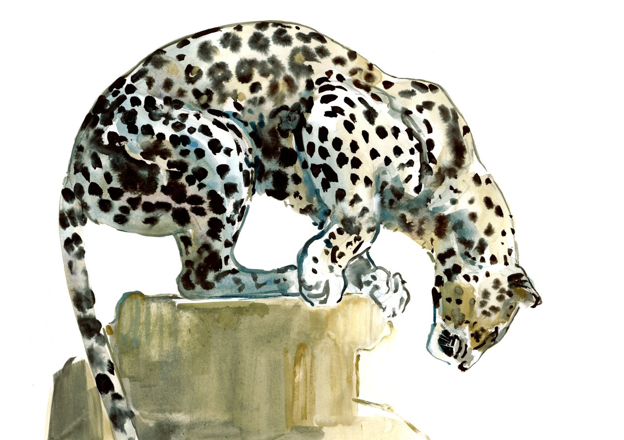 Gerinc (arab leopárd), 2015, (akvarell és gouache papíron) alkotó: Mark Adlington