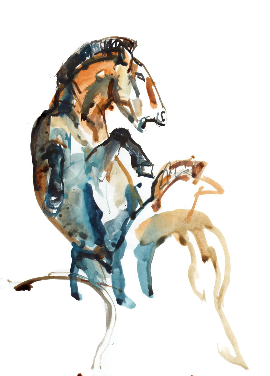 Spirit (Przewalski), 2013 (sennelier tus, gouache és akvarell) alkotó: Mark Adlington