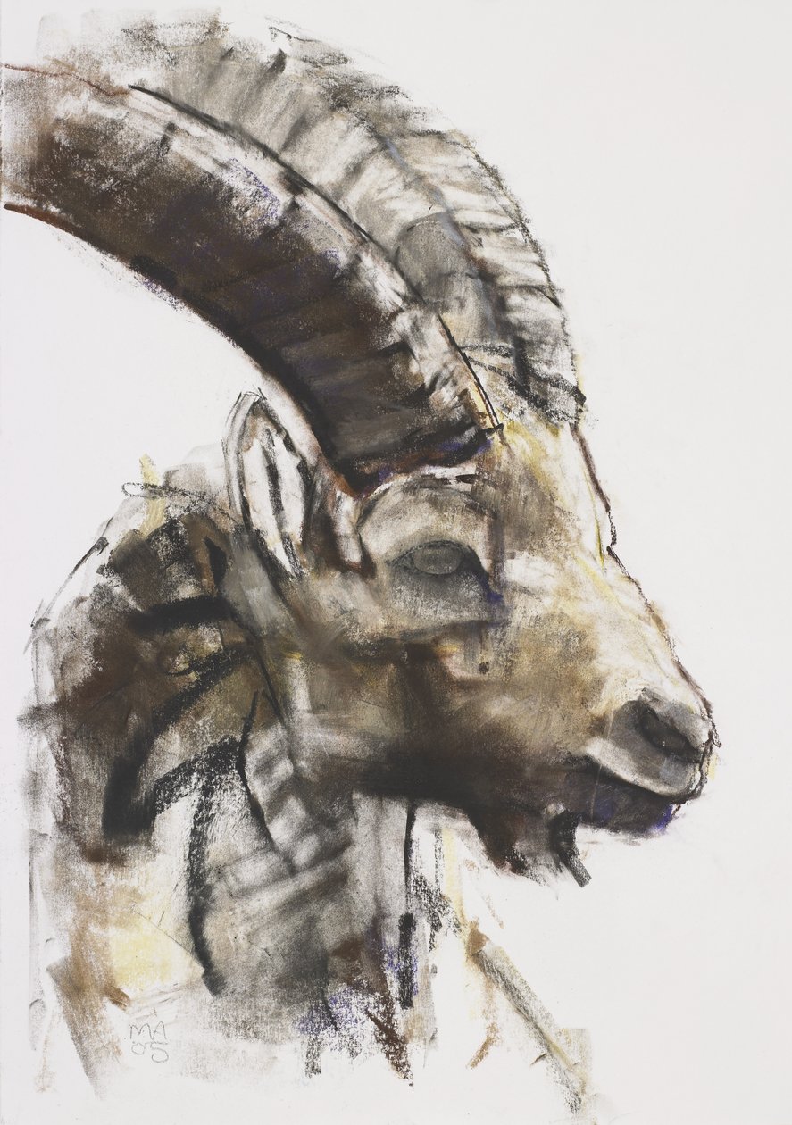 Testa, 2005 (szén és konte papíron) alkotó: Mark Adlington