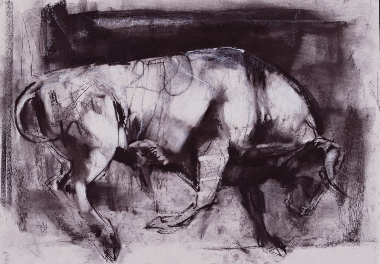 The White Bull (tanulmány), 1998 (szén papíron) alkotó: Mark Adlington