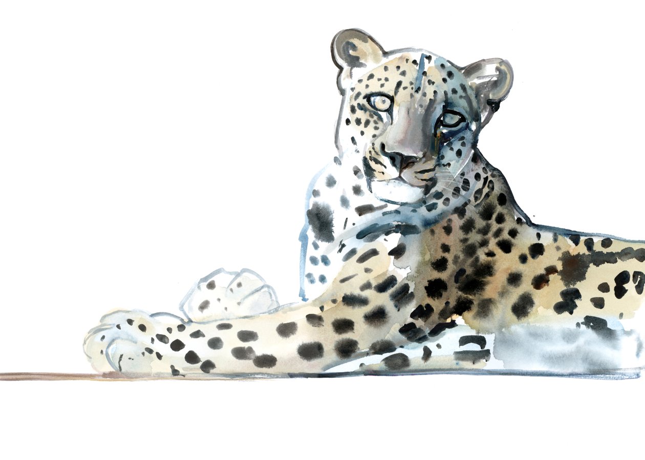 Tilt (arab leopárd), 2015, (akvarell és gouache papíron) alkotó: Mark Adlington