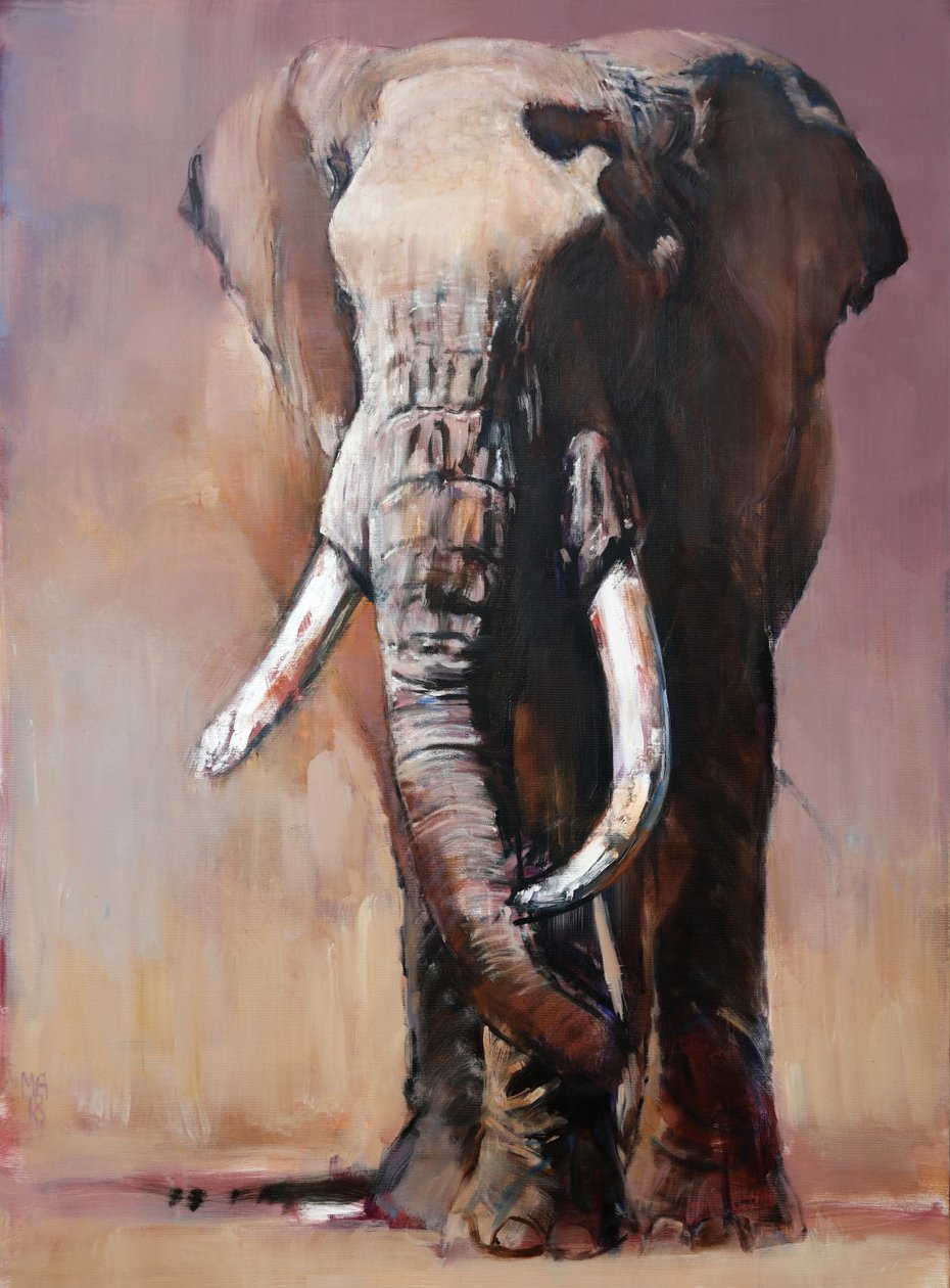 Külön, Chyulu Hills, 2018 alkotó: Mark Adlington