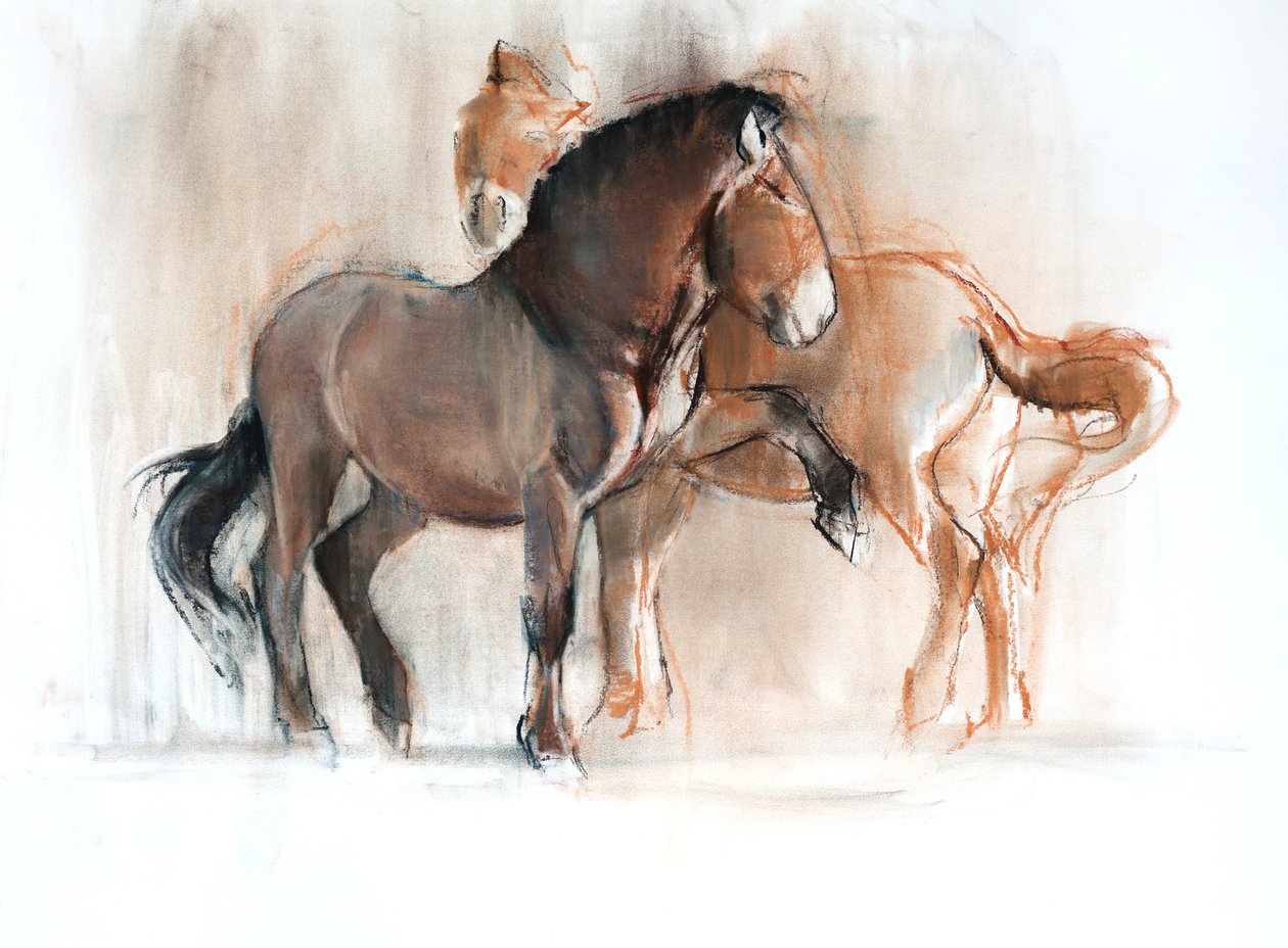 Kettő (Przewalski), 2013, (pasztell és szén, papíron) alkotó: Mark Adlington