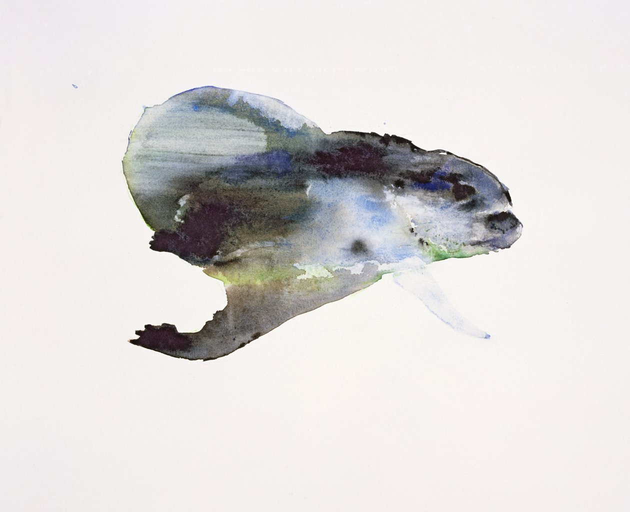 Víz alatti alkotó: Mark Adlington