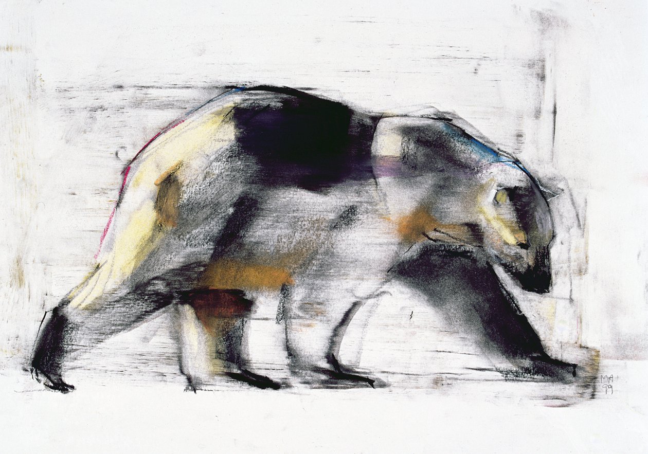 Ursus Maritimus, 1999 (szén és konte papíron) alkotó: Mark Adlington
