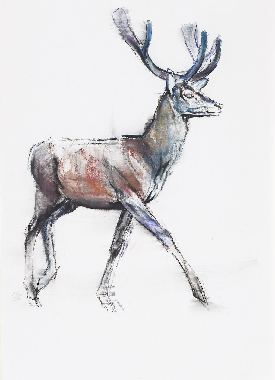 Bársony, 2006 (szén és konte papíron) alkotó: Mark Adlington