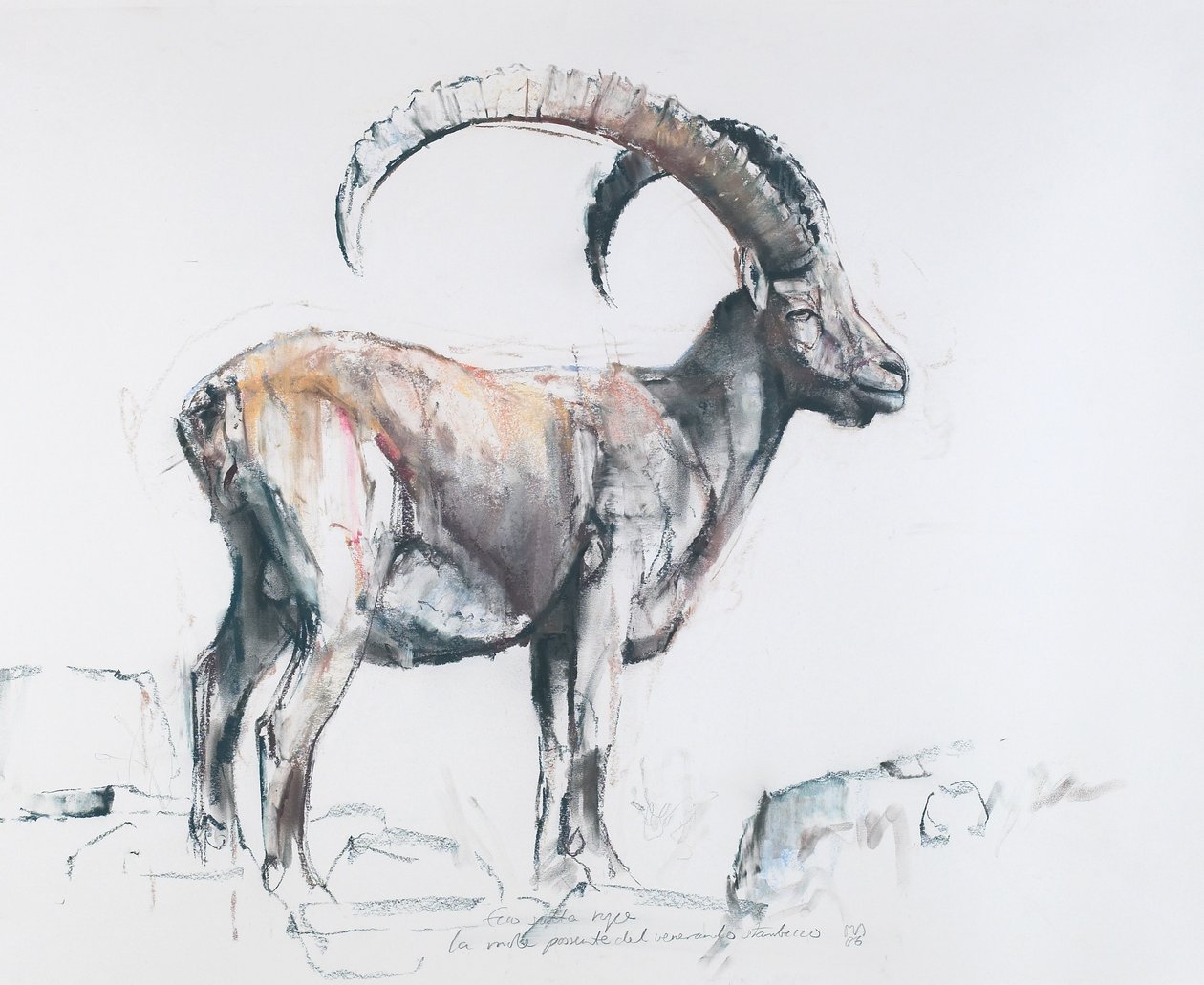 Venerando Stambecco, 2006 (szén és konténer, papír) alkotó: Mark Adlington