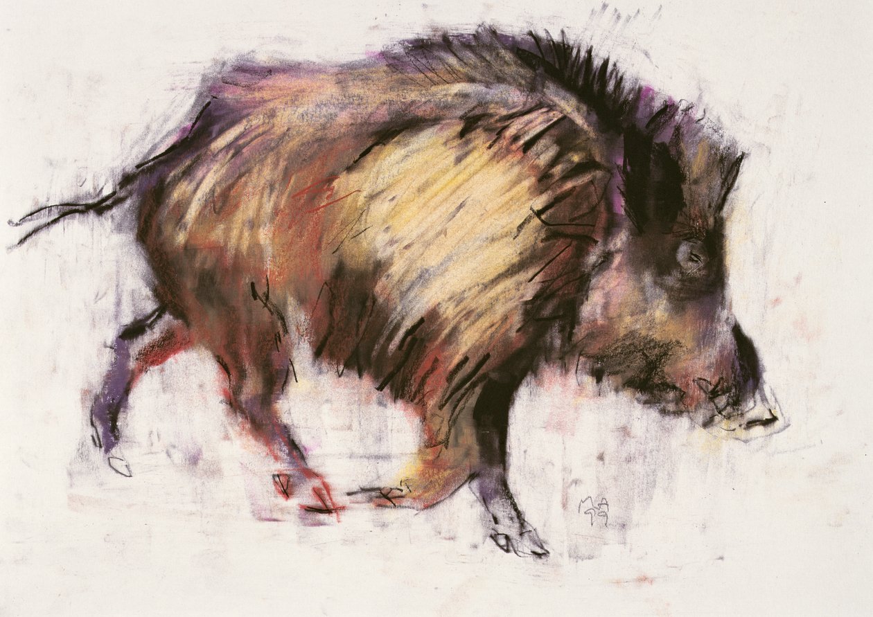 Vaddisznó ügető, 1999 (grafit, konte és szén papíron) alkotó: Mark Adlington