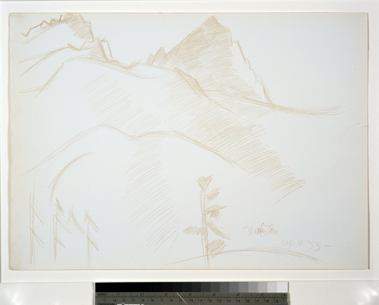 Hegyi táj fenyőfákkal alkotó: Marsden Hartley