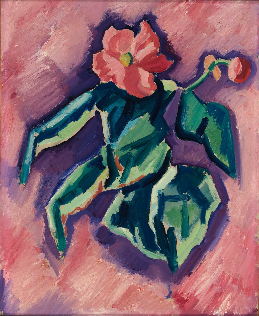 Rosa Begonien alkotó: Marsden Hartley