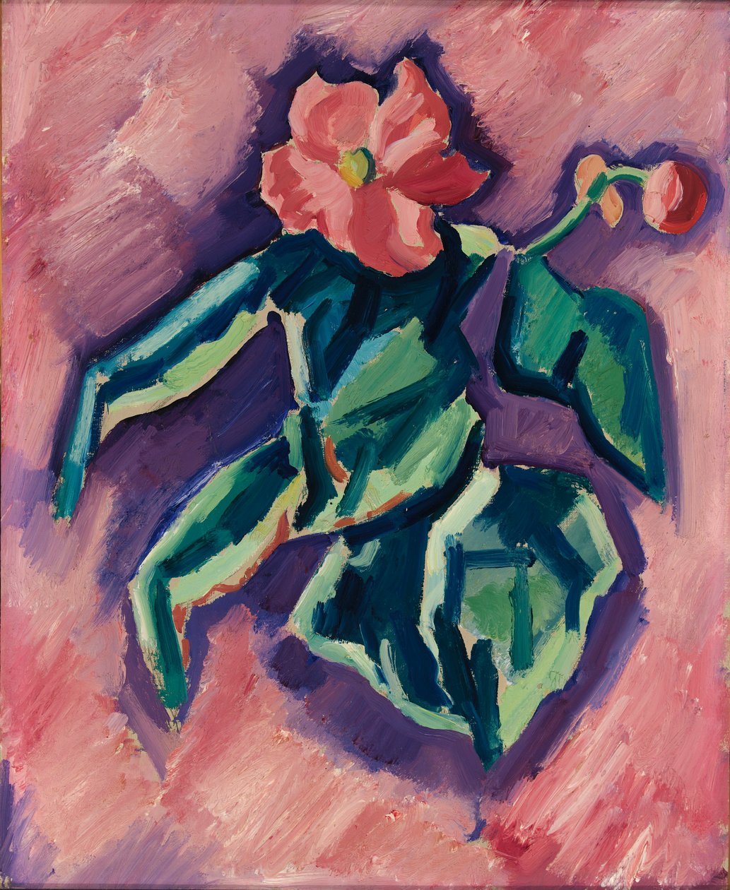 Rózsaszín begónia, 1928-1929. alkotó: Marsden Hartley