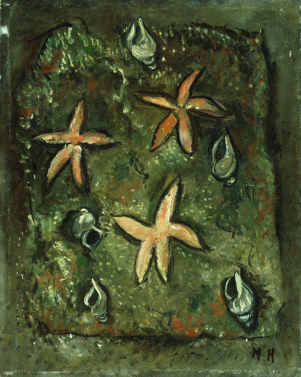 Csillaghalak és kagylók alkotó: Marsden Hartley