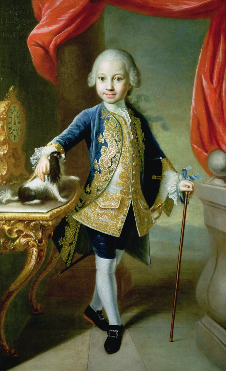 Egy fiú portréja házi spániel háziállattal, 18. század alkotó: Martin II Mytens or Meytens