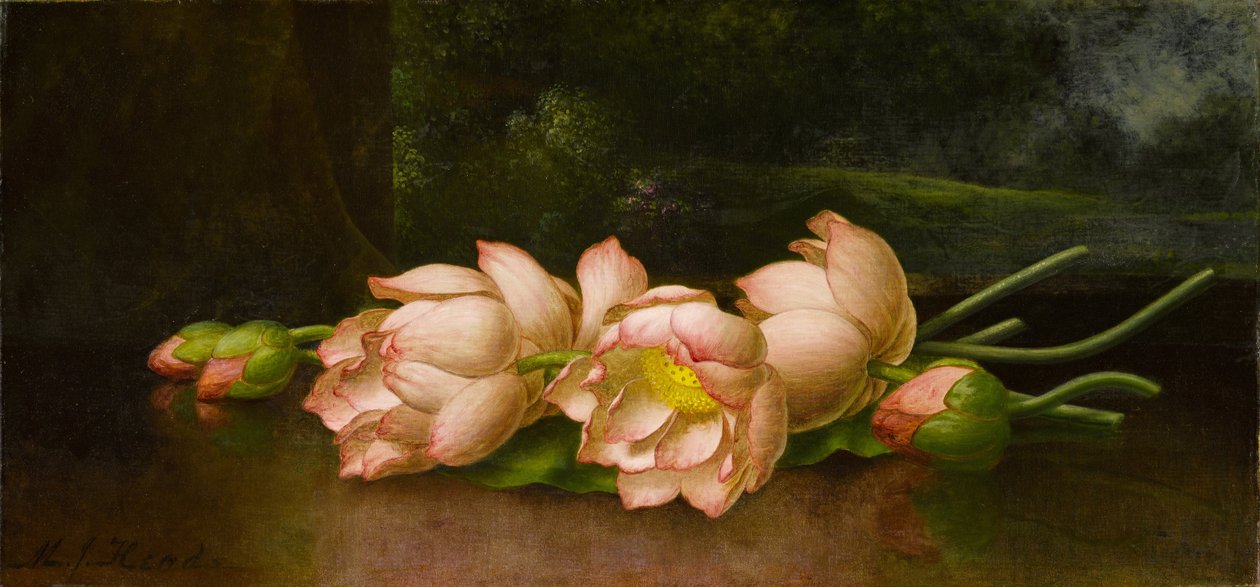 Lótuszvirágok egy tájfestéssel a háttérben alkotó: Martin Johnson Heade