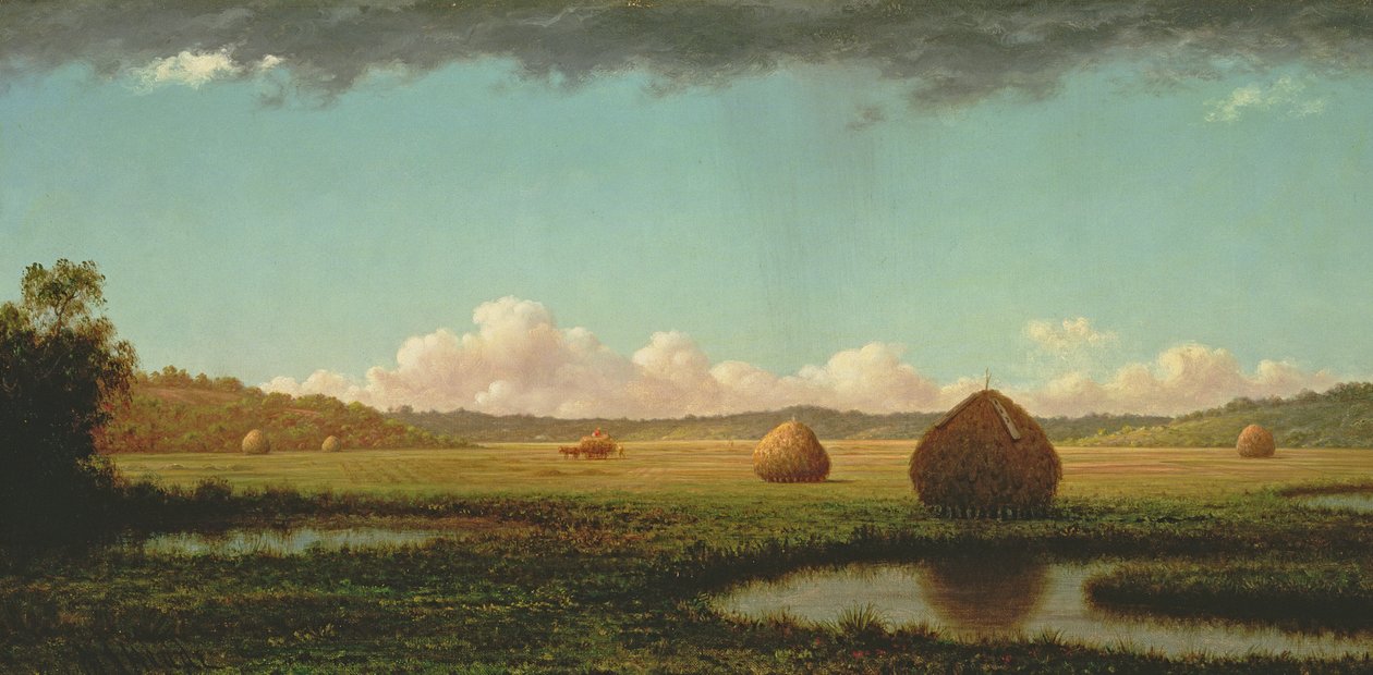 Nyári záporok, 1862-63 körül alkotó: Martin Johnson Heade