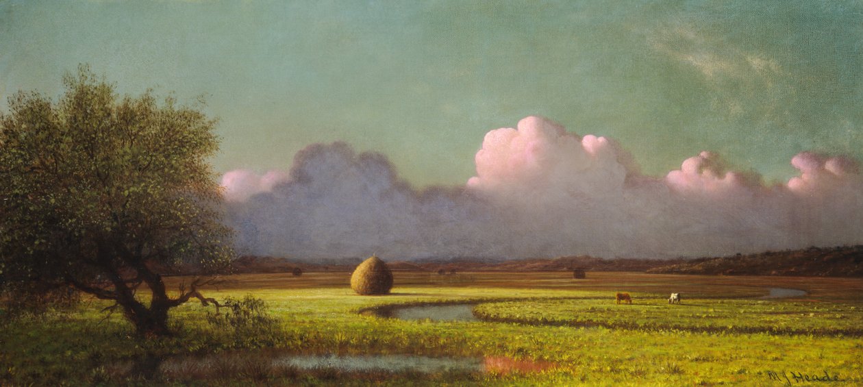 Napfény és árnyék- Newbury mocsarai alkotó: Martin Johnson Heade