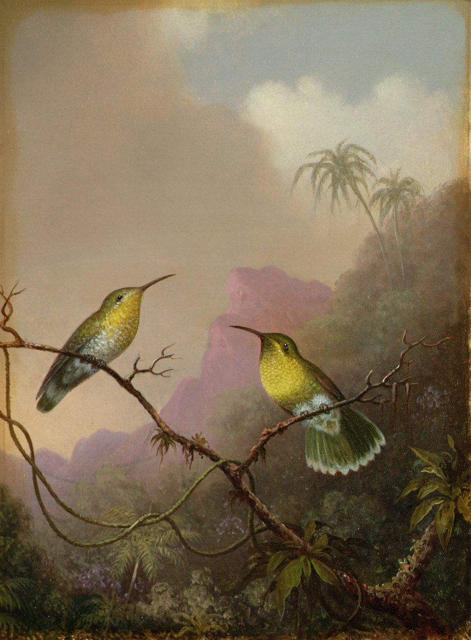 Két kolibri, 1865-75 körül alkotó: Martin Johnson Heade