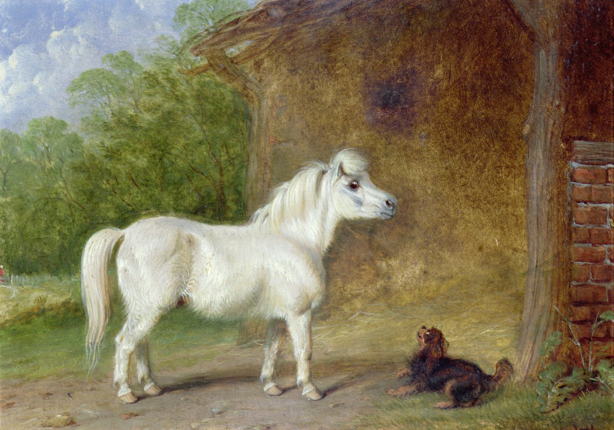 Egy shetlandi póni és egy King Charles spániel (deszka) alkotó: Martin Theodore Ward