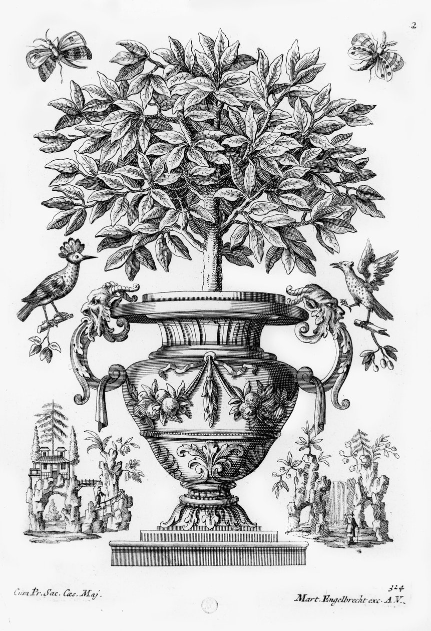 Citrusfák, 1735 körül alkotó: Martin Engelbrecht