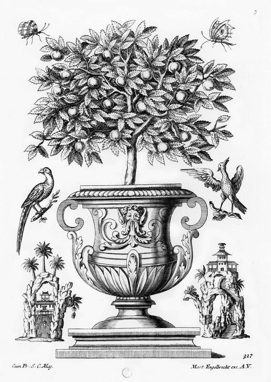 Citrusfák, 1735 körül alkotó: Martin Engelbrecht