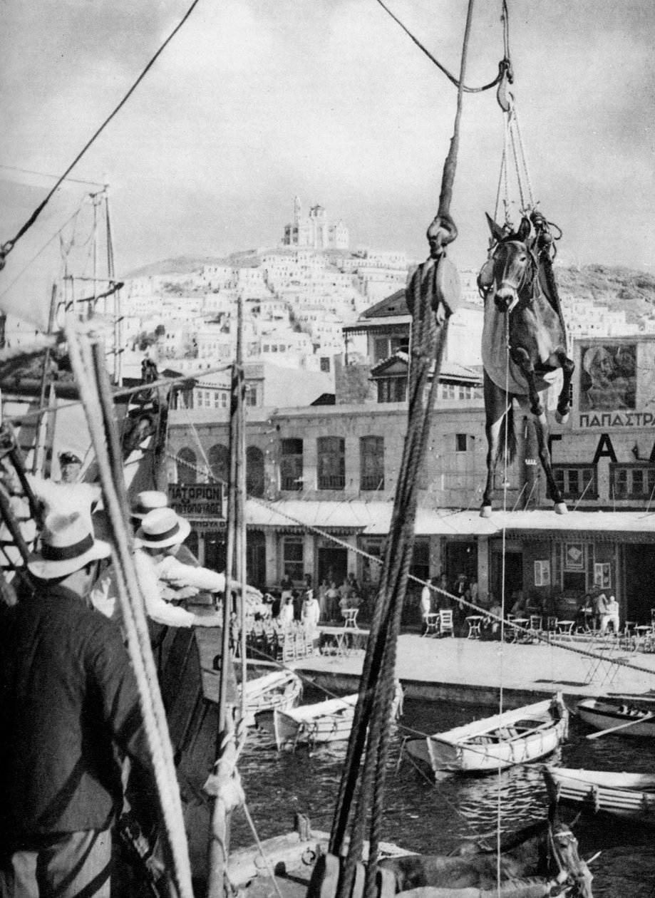 Öszvérek szállítása, Syros-sziget, Görögország, 1937. alkotó: Martin Hurlimann