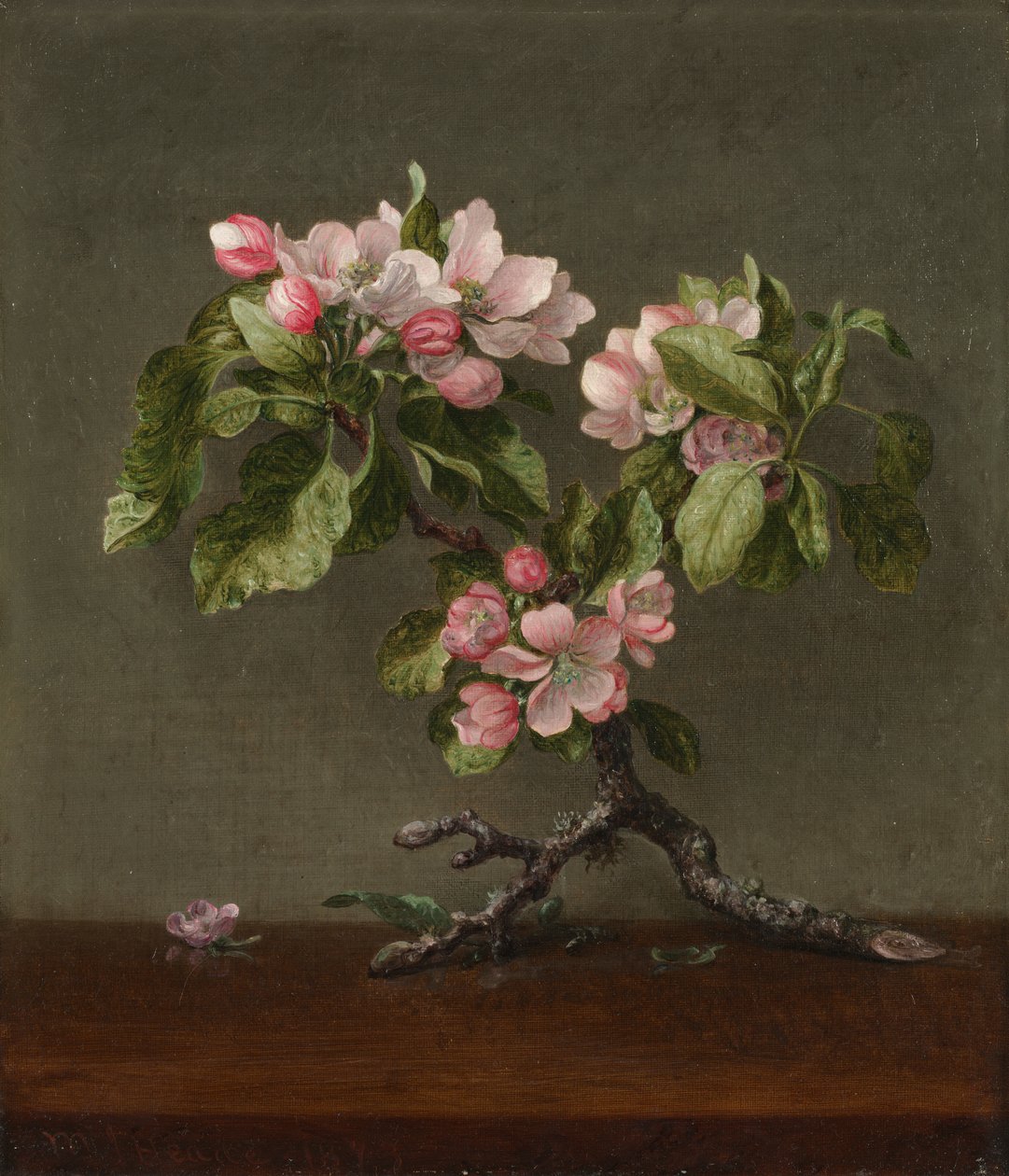 Almavirágok alkotó: Martin Johnson Heade