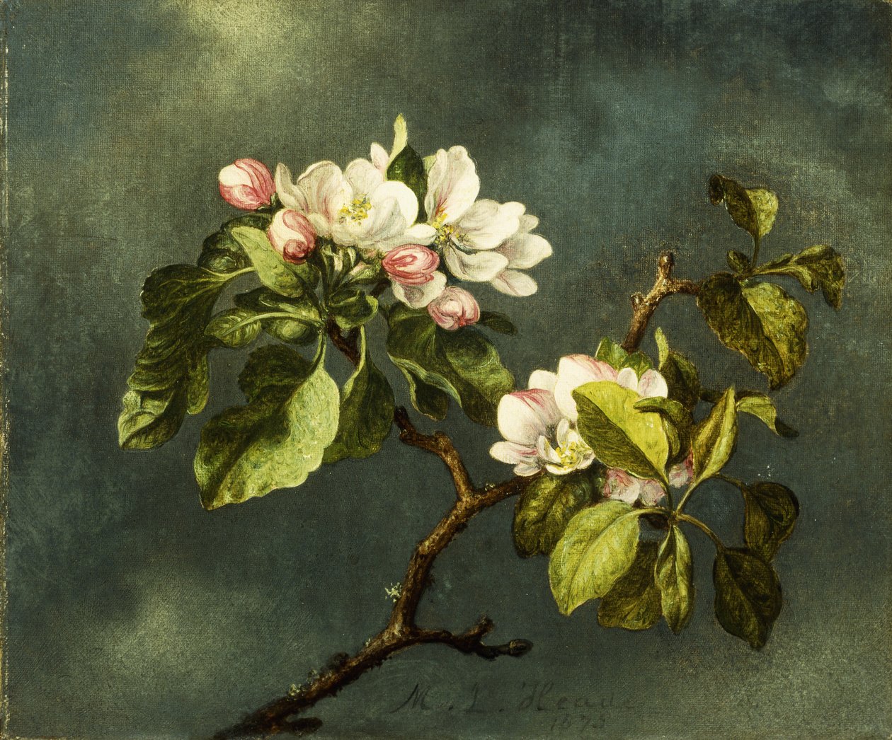 Alma virágok, alkotó: Martin Johnson Heade