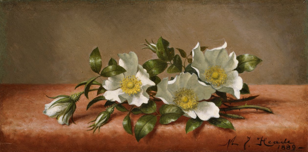 Cherokee rózsák alkotó: Martin Johnson Heade