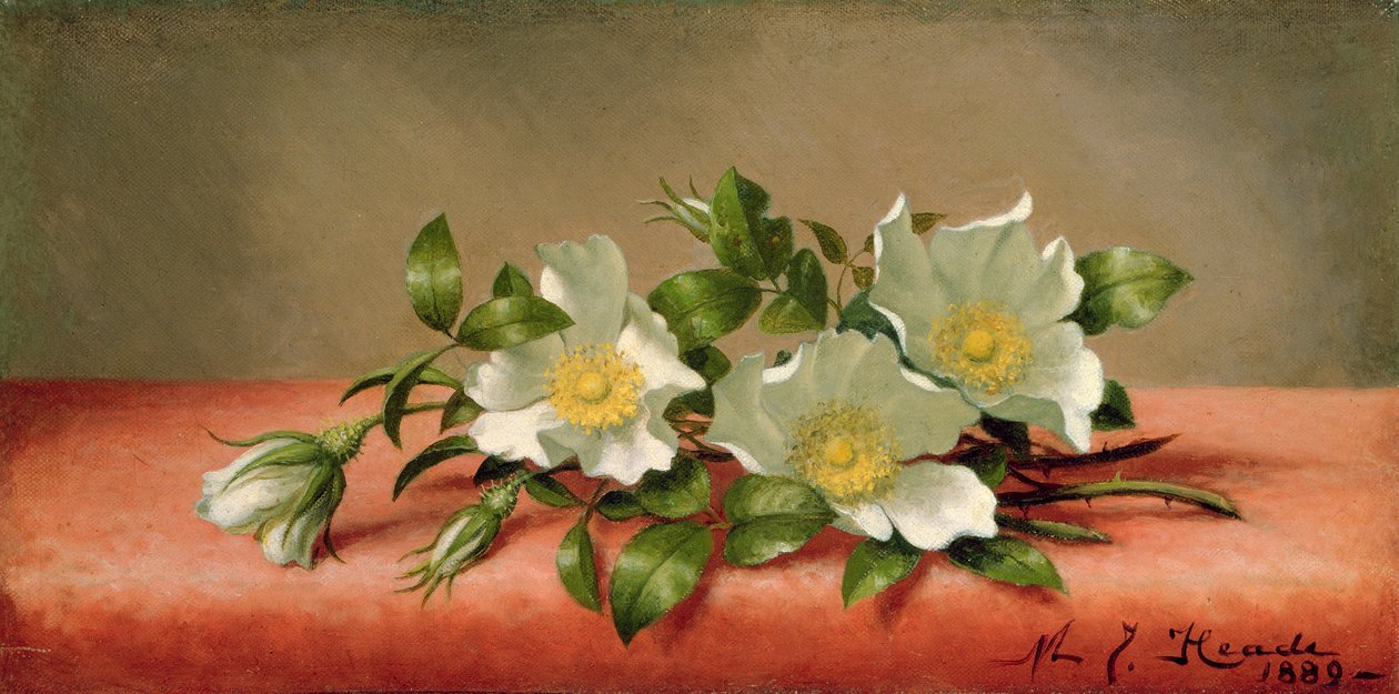 Cherokee Roses, 1889 alkotó: Martin Johnson Heade