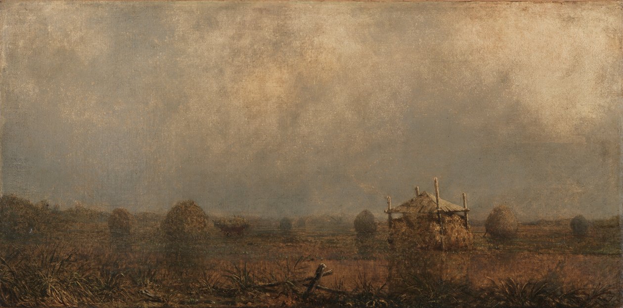 dagály a mocsarakon alkotó: Martin Johnson Heade
