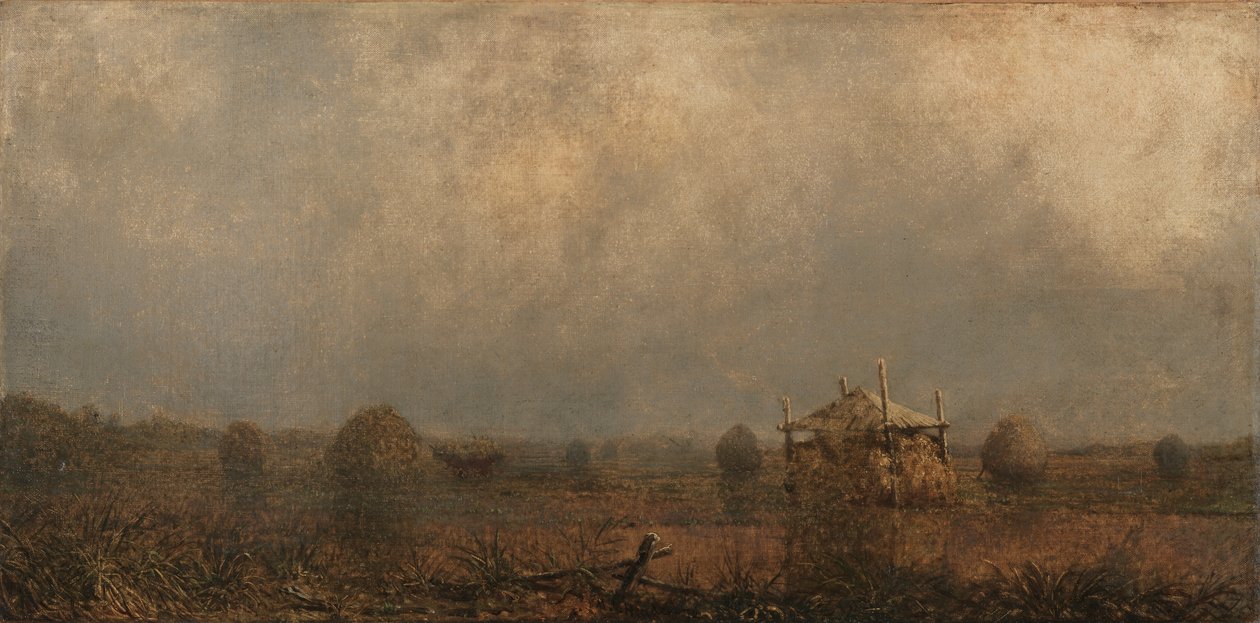 dagály a mocsarakon alkotó: Martin Johnson Heade
