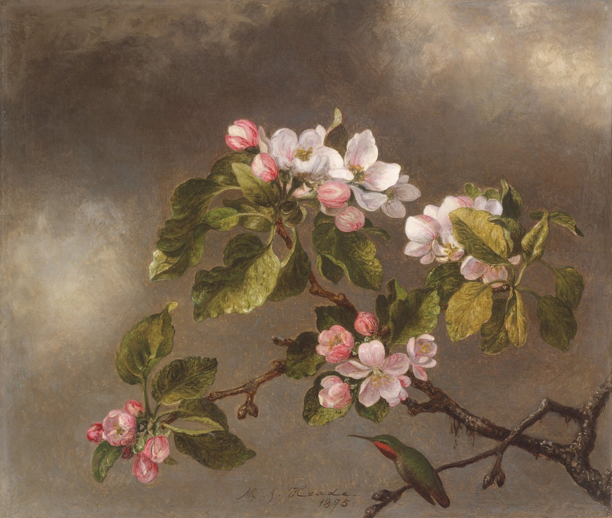 Kolibri és almavirágok, 1875 alkotó: Martin Johnson Heade