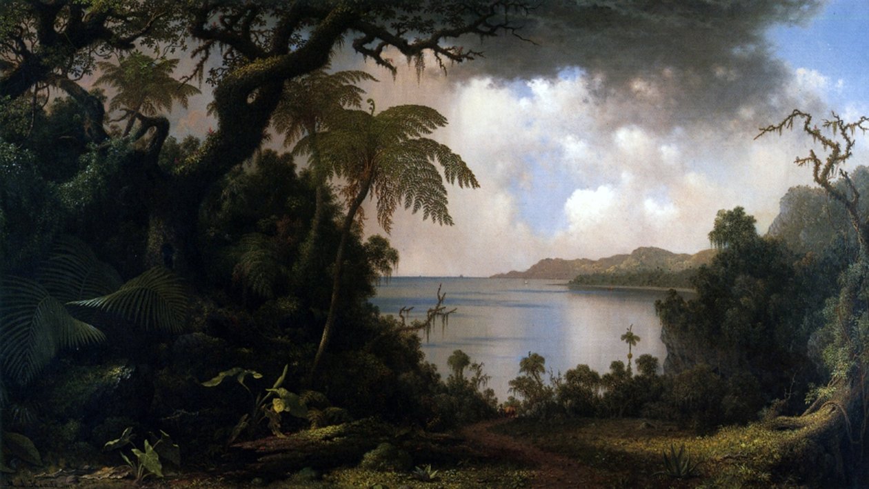 Jamaica, Kilátás a páfrányfa sétányról, 1887 alkotó: Martin Johnson Heade