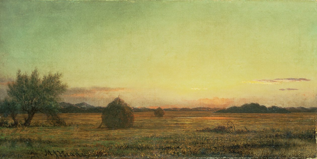 Jersey Meadows alkotó: Martin Johnson Heade