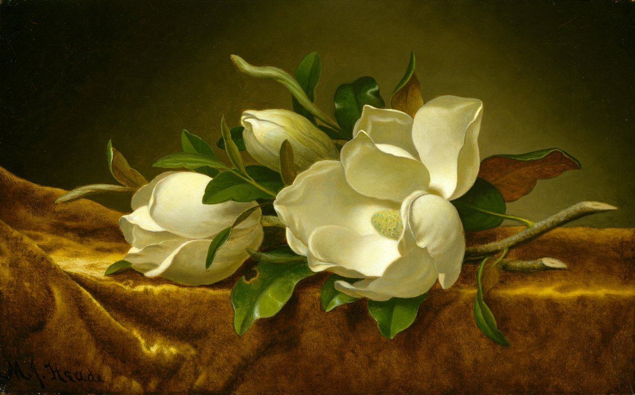 Magnóliák arany bársonyszöveten, 1888-90 körül (olaj, vászon) alkotó: Martin Johnson Heade