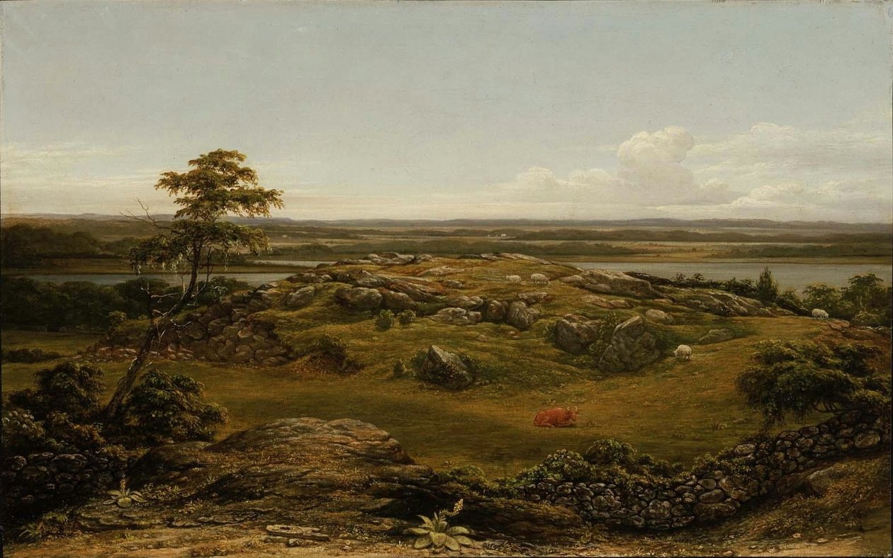 Sziklák New Englandben alkotó: Martin Johnson Heade