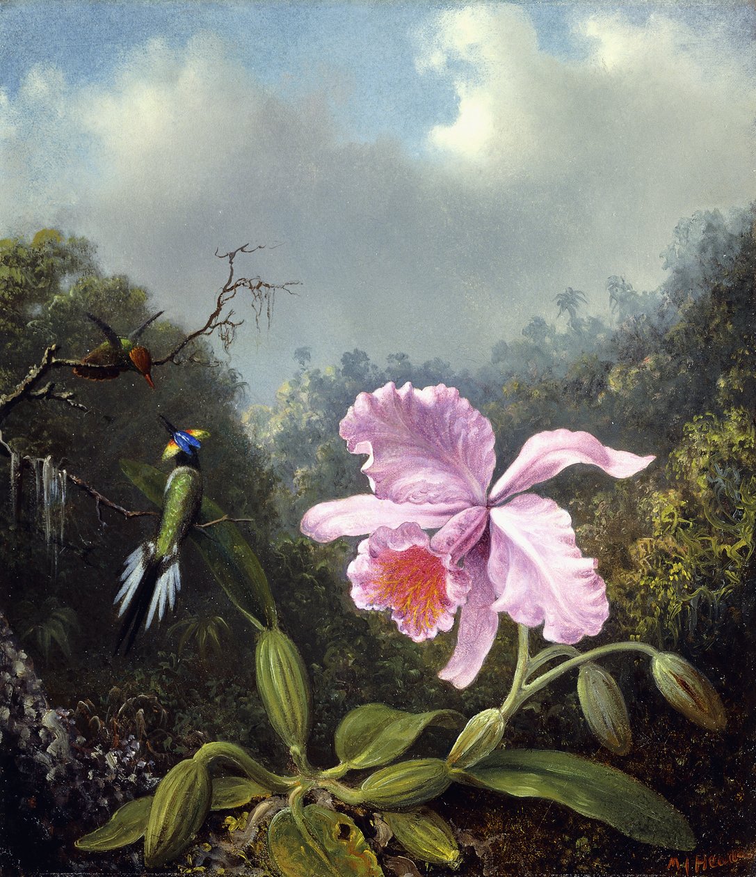 Csendélet orchideával és kolibripárral, 1890 körül alkotó: Martin Johnson Heade