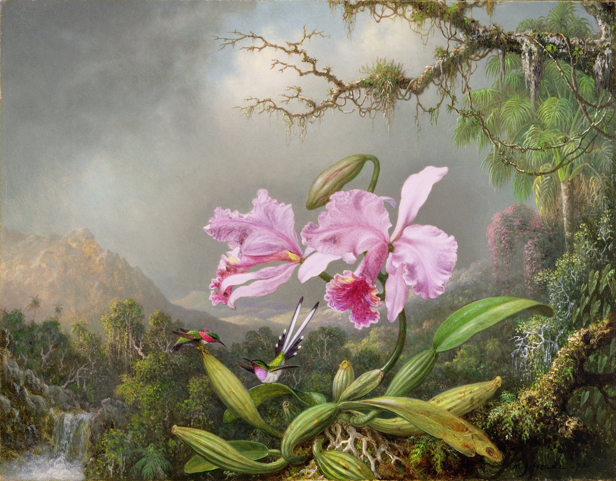 Tanulmány egy orchideáról, 1872 alkotó: Martin Johnson Heade