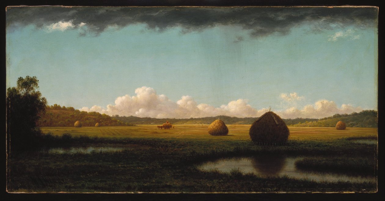 Nyári záporok alkotó: Martin Johnson Heade